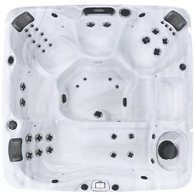 Avalon-X EC-840LX hot tubs for sale in Concord