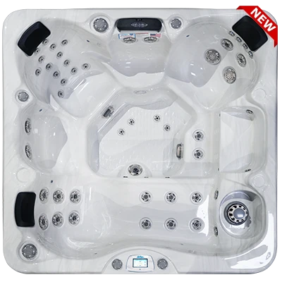 Avalon-X EC-849LX hot tubs for sale in Concord